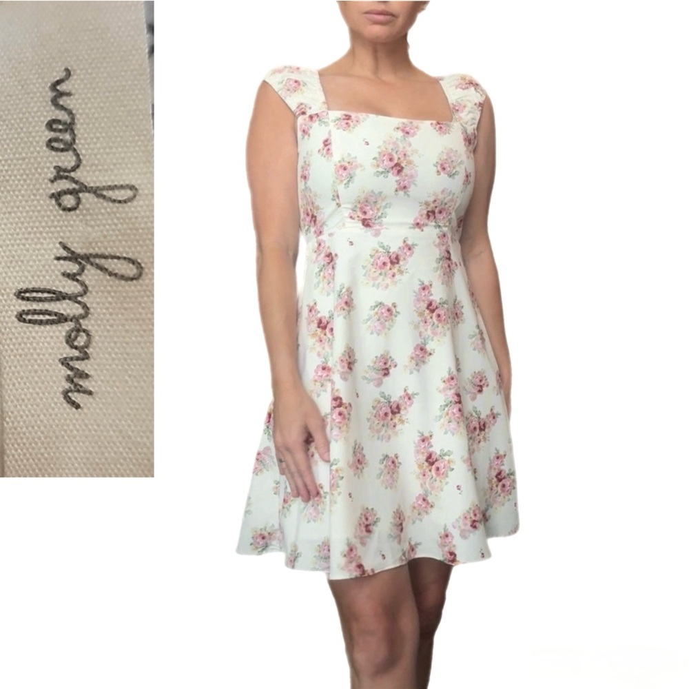 Molly Green Cream Floral Fit & Flare Cottagecore Dress Pink Small NWT